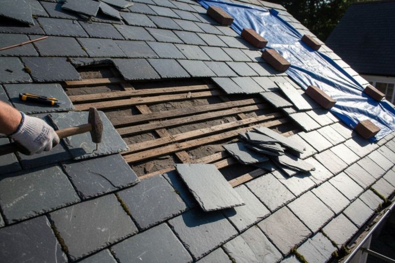 What To Expect During A Professional Natural Slate Roof Repair